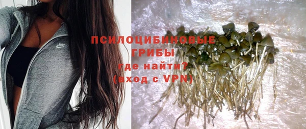 apvp Абинск