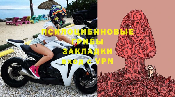 ешки Абаза