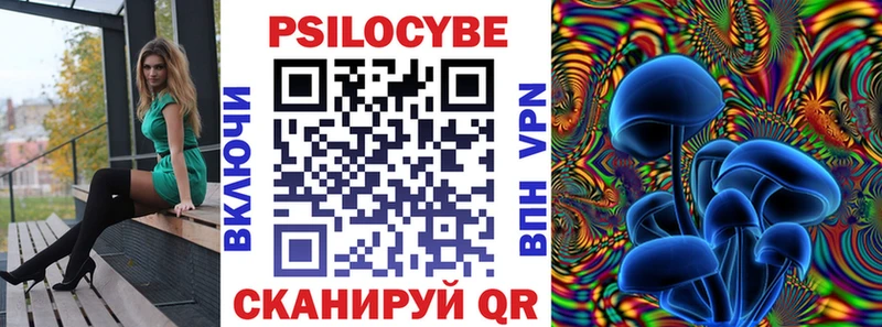 где можно купить   мориарти какой сайт  Псилоцибиновые грибы Magic Shrooms  Духовщина 
